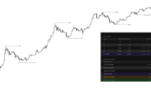 Analyst Who Referred to as Bitcoin’s High Appropriately Now Predicting The Backside