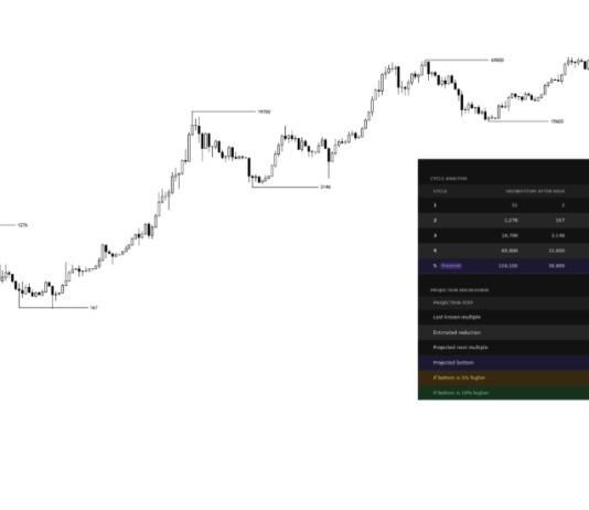 Analyst Who Referred to as Bitcoin’s High Appropriately Now Predicting The Backside
