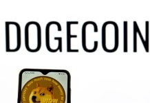 Dogecoin Lure Reveals A Main Crash, However How Low Will The Value Go?