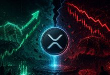 XRP’s Restoration Is Actual, However The Danger Urge for food Behind It Is Nonetheless Damaged – Analyst