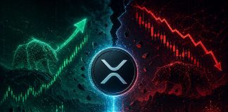 XRP’s Restoration Is Actual, However The Danger Urge for food Behind It Is Nonetheless Damaged – Analyst