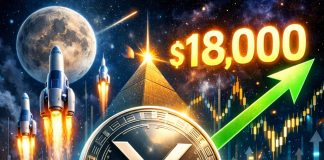 XRP Worth Goal At $18,000: Professional Says—Solely One Situation Should Be Met