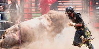 Bitcoin Bull Run Brewing: ATH In Sight By Late 2026: Analyst