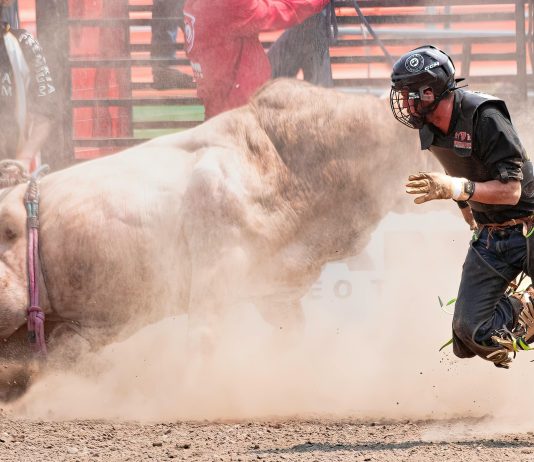 Bitcoin Bull Run Brewing: ATH In Sight By Late 2026: Analyst