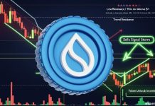 Sui (SUI) Worth Prediction: 89% Correction Accomplished—Might This Mark the Begin of a New Bull Cycle?