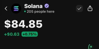Western Union’s Solana Transfer Indicators A Shift In World Cost Infrastructure