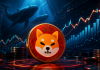 Shiba Inu Open Curiosity Jumps As Whales Quietly Accumulate SHIB