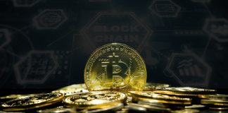Bitcoin And XRP Are Seeing A Surge In Adoption, Right here Are The Numbers