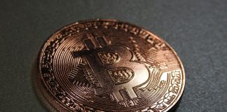 Bitcoin ETFs Lose Almost Half A Billion {Dollars} As Worry Returns To Crypto