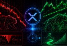 XRP’s Leverage Has Been Flushed Out, However Value Is Nonetheless Holding: Discover Out What Follows That Setup