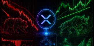 XRP’s Leverage Has Been Flushed Out, However Value Is Nonetheless Holding: Discover Out What Follows That Setup