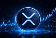 David Schwartz Challenges $10,000 XRP Idea With Easy Query