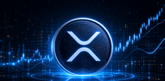 David Schwartz Challenges $10,000 XRP Idea With Easy Query