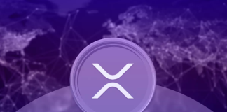 23 Billion+ XRP Already Quantum Protected, In accordance To New Pockets Evaluation