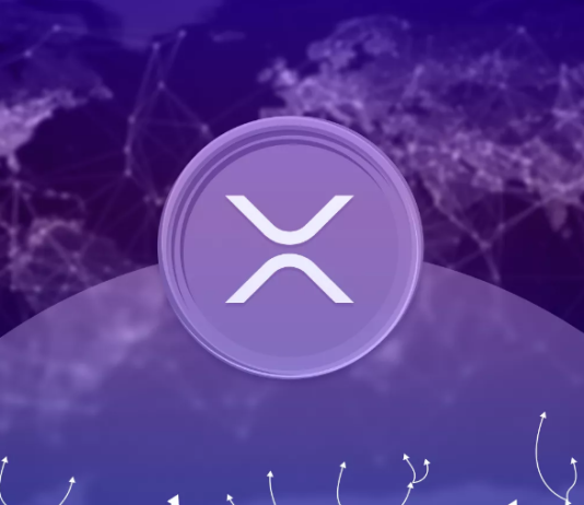 23 Billion+ XRP Already Quantum Protected, In accordance To New Pockets Evaluation