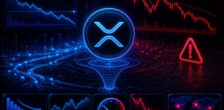 XRP Liquidity Simply Hit A 5-12 months Low: Uncover What Occurs When A Market Will get This Skinny