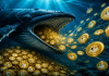 Dogecoin Sees Large-Cash Curiosity: Whales Load Up On 160M DOGE