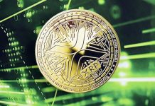 Is XRP A Rip-off Or A Trillion-Greenback Coin? Pundit Shares The Solutions