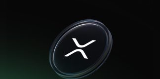 David Schwartz Says Promoting XRP Doesn’t Make Him The Villain David Schwartz Says Promoting XRP Doesn’t Make Him The Villain