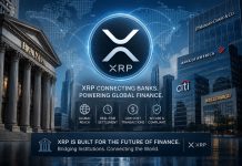 Ripple’s $12.5 Trillion Declare: How Does XRP Match Into 13,000 Banks?