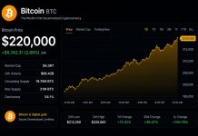 Analyst Units $220,000 Minimal Worth Goal For Bitcoin, However How Will It Get There?