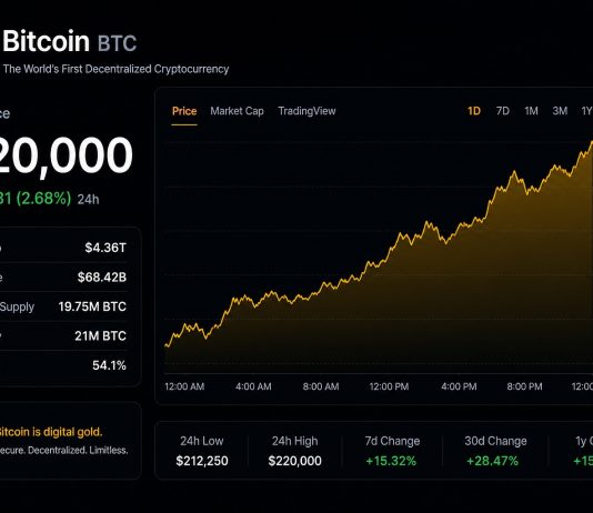 Analyst Units $220,000 Minimal Worth Goal For Bitcoin, However How Will It Get There?