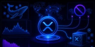 XRP’s Greatest Holders Simply Stopped Sending Tokens to Exchanges: Final Time Was November 2021