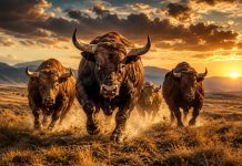Bitcoin Bulls Want One Extra Sign To Verify Market Backside – Particulars