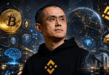 Binance Founder CZ Sees Main Modifications Forward For Crypto