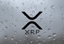 Pundit Says XRP At $1,000 Is Nothing Large, The Actual Worth Is A lot Increased