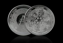 Cardano Holds Vital $0.25 Help: Historical past Factors To A Main Rally Setup