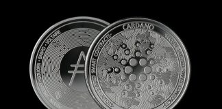Cardano Holds Vital $0.25 Help: Historical past Factors To A Main Rally Setup Cardano Holds Vital $0.25 Help: Historical past Factors To A Main Rally Setup