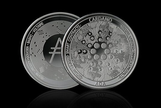 Cardano Holds Vital $0.25 Help: Historical past Factors To A Main Rally Setup