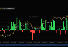 Spot Bitcoin ETFs See Strongest Shopping for Streak In 9 Months