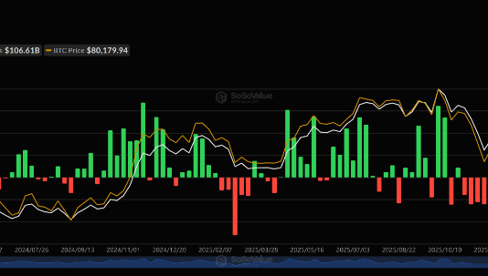 Spot Bitcoin ETFs See Strongest Shopping for Streak In 9 Months