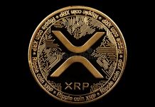 XRP Whale-Retail Unfold On Binance Falls To 2024 Ranges — What’s Occurring?