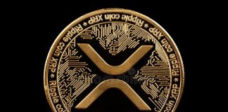 XRP Whale-Retail Unfold On Binance Falls To 2024 Ranges — What’s Occurring?