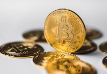 Bitcoin Open Curiosity Explodes Past 2025 All-Time Excessive Ranges