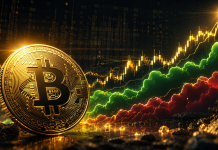 Bitcoin Flashes Sign With 186% Common One-12 months Return