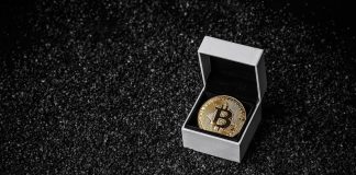Can Bitcoin Value Cross $200,000? Pundit Reveals 3-Yr Roadmap For Success