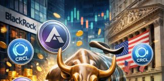 Circle Banks $200M From Giants Like BlackRock In Arc Token Presale, CRCL Jumps 15%