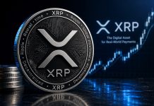 XRP’s Present Predicament Is Solely Short-term; These Components Will Drive It To $18 XRP’s Present Predicament Is Solely Short-term; These Components Will Drive It To $18