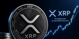 XRP’s Present Predicament Is Solely Short-term; These Components Will Drive It To $18
