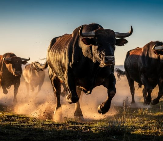Bitcoin Bulls Awaken As Uncommon Golden Cross Sign Flashes On Charts