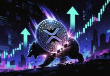 Key XRP Metric Skyrockets 65% In Report Time, Why It May Change Every thing For Patrons