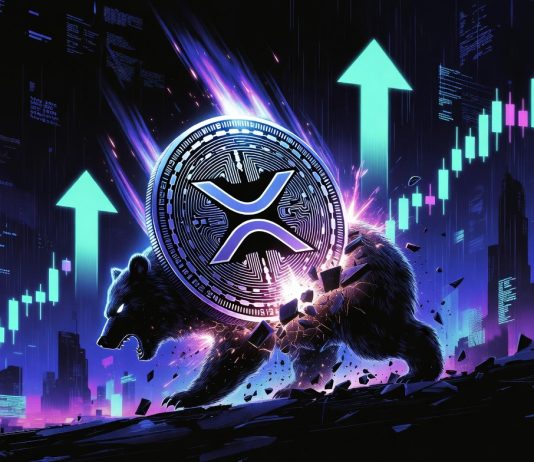 Key XRP Metric Skyrockets 65% In Report Time, Why It May Change Every thing For Patrons