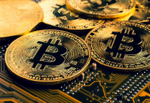 Technique Boosts Bitcoin Place With Contemporary $206M STRC Injection