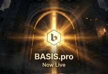 BASIS.professional Is Stay: Base58Labs Formally Launches Crypto Arbitrage Platform