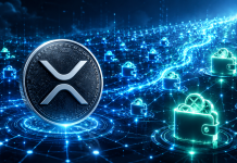 XRP Ledger Hits Report Excessive In 10Ok+ Wallets As Bigger Holders Accumulate