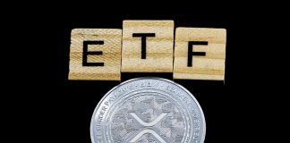 XRP Bulls Acquire Momentum As ETF Inflows Attain Multi-Month Excessive